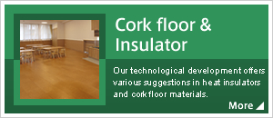 Cork floor & Insulator